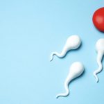 禁欲は精子の質を下げるって本当?