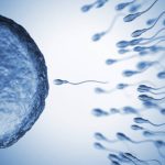 精子のDNA損傷と修復について