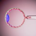 妊活中に知っておきたい！PGT-A（着床前診断）の最新情報