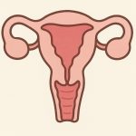 子宮内膜は何ミリあれば大丈夫？？