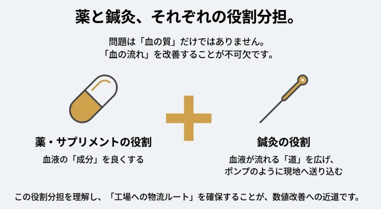 血流の渋滞を解消